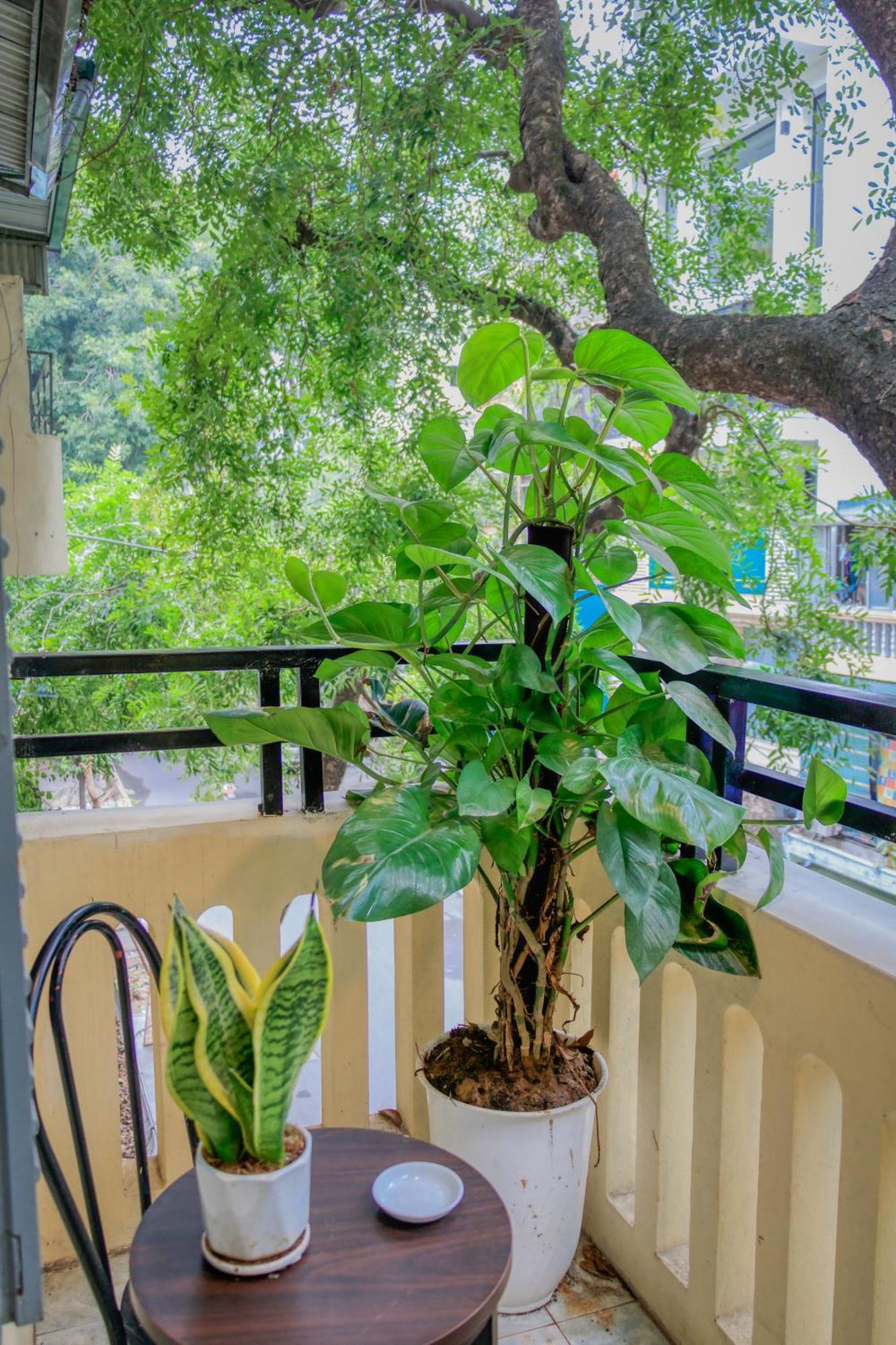 Hanoi Family Homestay Экстерьер фото